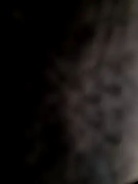 Snapshot of mogli444 chatting on 8, 12, 2024 mogli444 online show from 8, 12, 2024