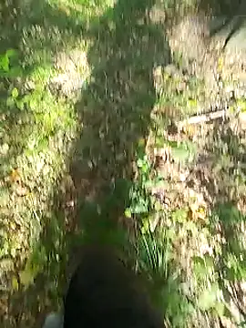 sarpe4 online show from 14, 9, 2025