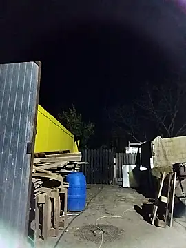 sarpe4 online show from 31, 10, 2025