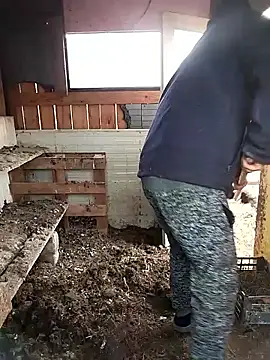 sarpe4 online show from 28, 2, 2026