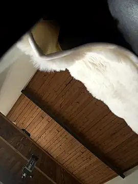 odbodu online show from 22, 11, 2025