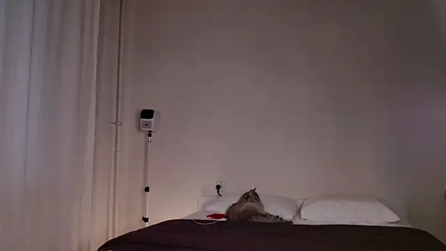 Milky   Way online show from 5, 10, 2025