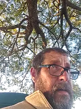 TryingWind online show from 4, 5, 2026