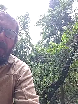 TryingWind online show from 5, 5, 2026