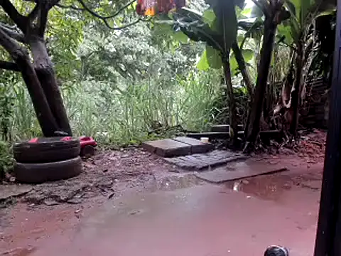 venusandzeusxh online show from 14, 10, 2025