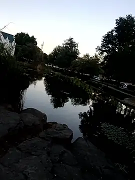 nicali78 online show from 26, 9, 2025