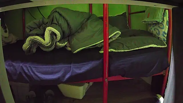 Walltaz online show from 24, 3, 2026