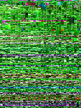 iAmNukka187 online show from 1, 11, 2025