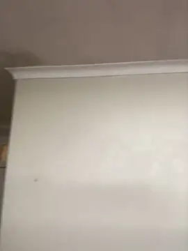 Snapshot of LuciousLips96 chatting on 6, 11, 2025 LuciousLips96 online show from 6, 11, 2025