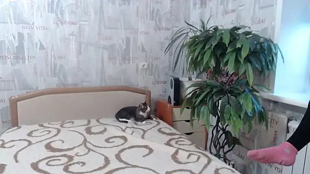 GinaQSoul online show from 20, 2, 2026