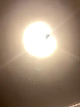 Cyebony online show from 9, 9, 2025