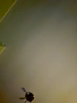 NiceHunter89 online show from 12, 1, 2025