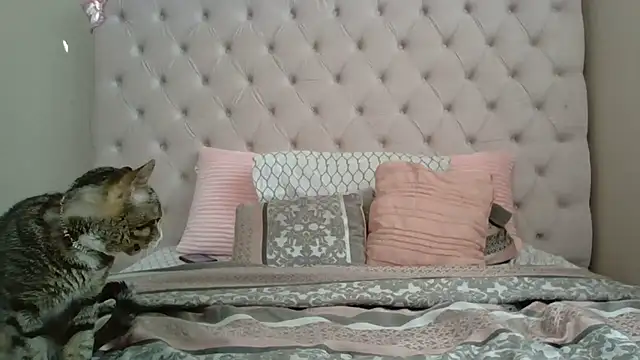 beautylovess online show from 21, 12, 2025