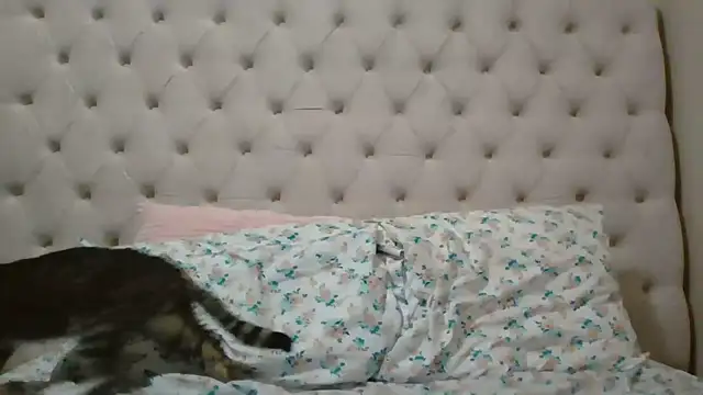 beautylovess online show from 5, 2, 2026