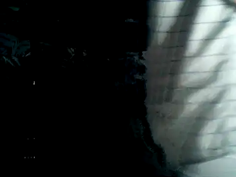 Latinjim29 online show from 2, 2, 2026