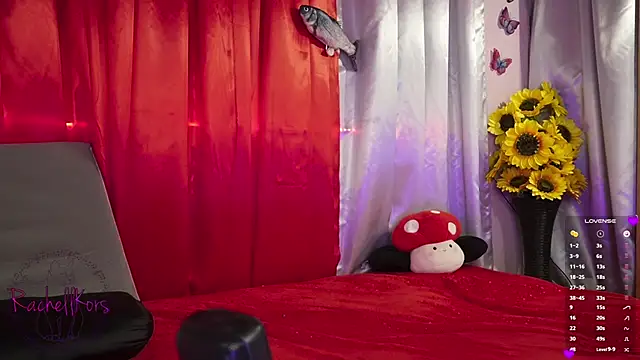 Snapshot of Rachellkors chatting on 17, 2, 2025 Rachellkors online show from 17, 2, 2025