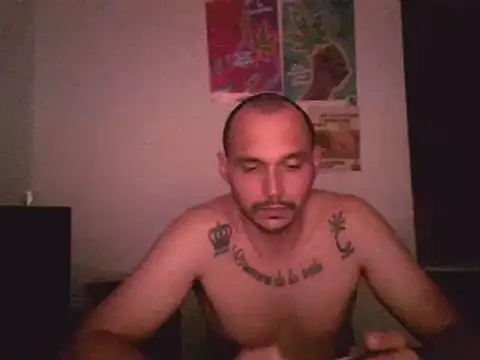 Snapshot of universitario-col chatting on 3, 12, 2024 universitario-col online show from 3, 12, 2024