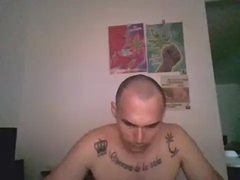 Snapshot of universitario-col chatting on 9, 12, 2024 universitario-col online show from 9, 12, 2024
