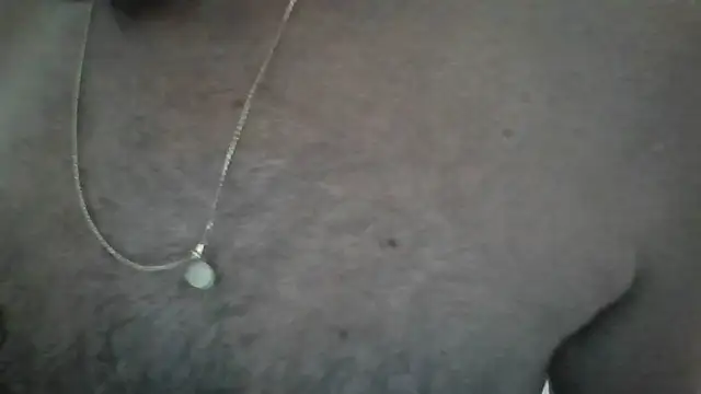 Leo Big online show from 26, 2, 2026