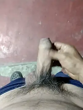 dickbastienweed online show from 5, 11, 2025