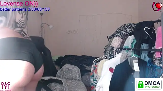 sweet cute cat online show from 5, 11, 2025