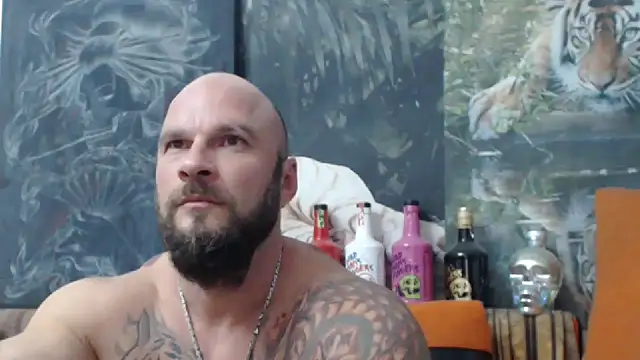 viking 30 online show from 11, 9, 2025