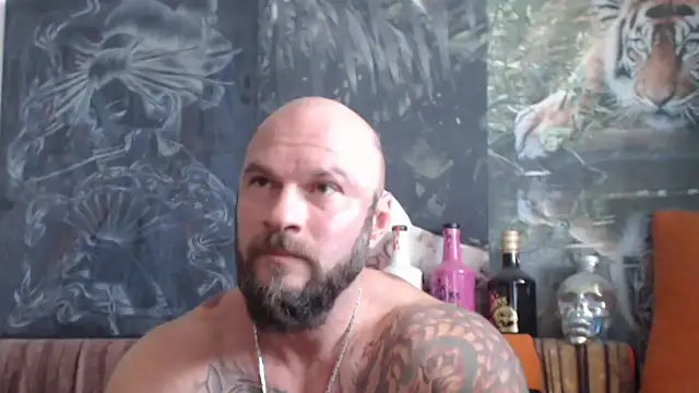 viking 30 online show from 12, 9, 2025