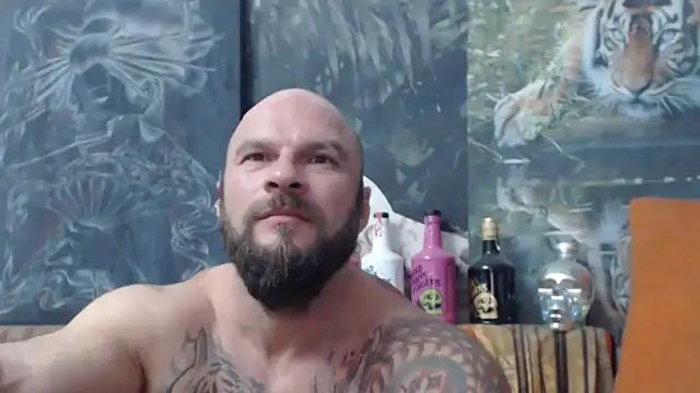 viking 30 online show from 19, 9, 2025