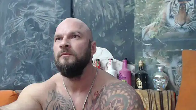 viking 30 online show from 11, 10, 2025