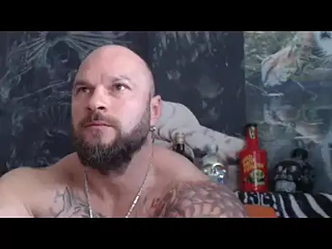 viking 30 online show from 14, 5, 2026
