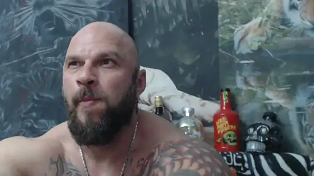 viking 30 online show from 20, 5, 2026