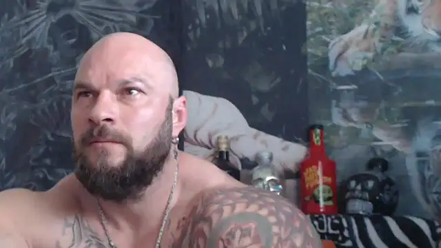 viking 30 online show from 21, 5, 2026