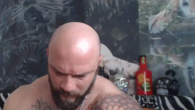 viking 30 online show from 22, 5, 2026