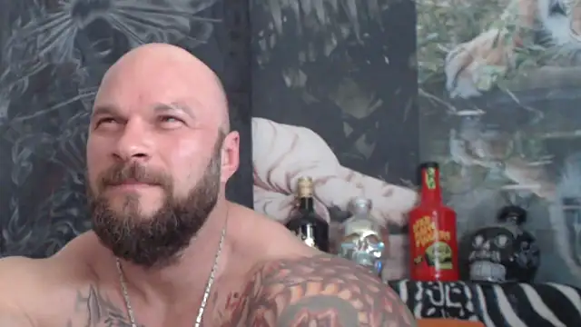 viking 30 online show from 23, 5, 2026