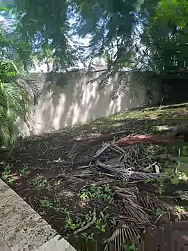 JohnnyBigShot online show from 28, 9, 2025