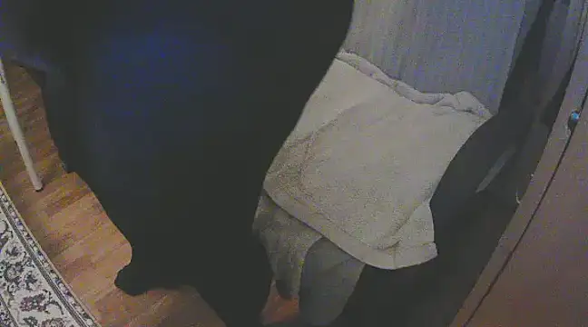 szadamo online show from 11, 12, 2024