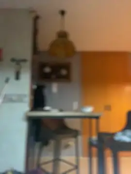 camelia3 online show from 25, 2, 2026