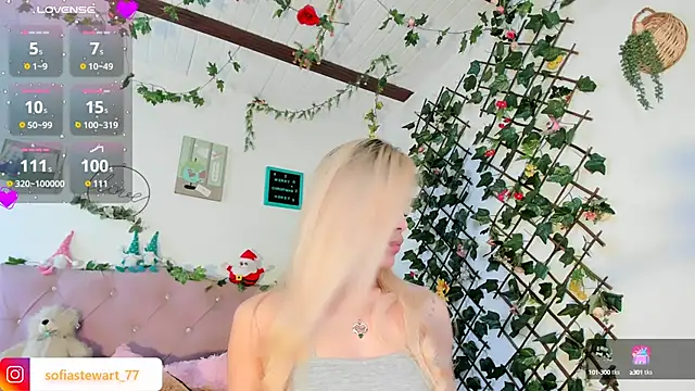 steewart  online show from 27, 12, 2024