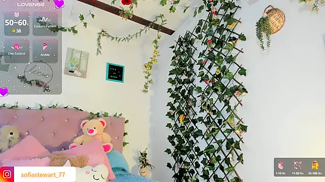 steewart  online show from 30, 1, 2025