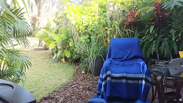 eliberator1777 online show from 10, 12, 2024