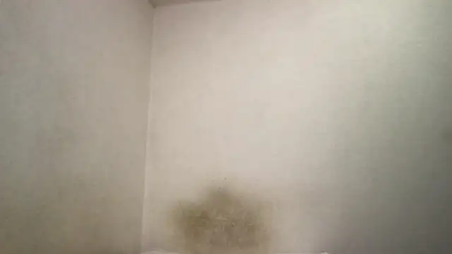 Snapshot of Magicwordsforme chatting on 15, 3, 2025 Magicwordsforme online show from 15, 3, 2025