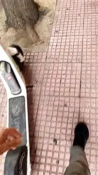 kostas19cm online show from 30, 9, 2025