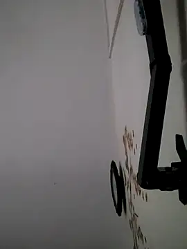 Bibcock2025 online show from 19, 2, 2026