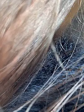 Sara Slow online show from 21, 4, 2026