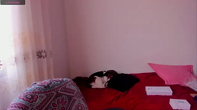 aluna 0310 online show from 9, 12, 2024