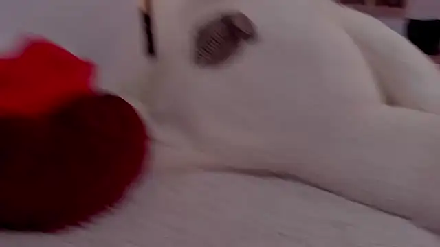 Snapshot of aryahunt1 chatting on 12, 2, 2025 aryahunt1 online show from 12, 2, 2025