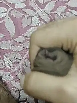 Snapshot of rockkyy9 chatting on 11, 10, 2025 rockkyy9 online show from 11, 10, 2025