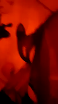 Misspadrona88 online show from 4, 3, 2026