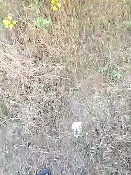 rameshmry1 online show from 21, 3, 2026