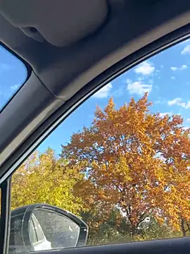 Snapshot of -AngelAri- chatting on 19, 10, 2025 -AngelAri- online show from 19, 10, 2025